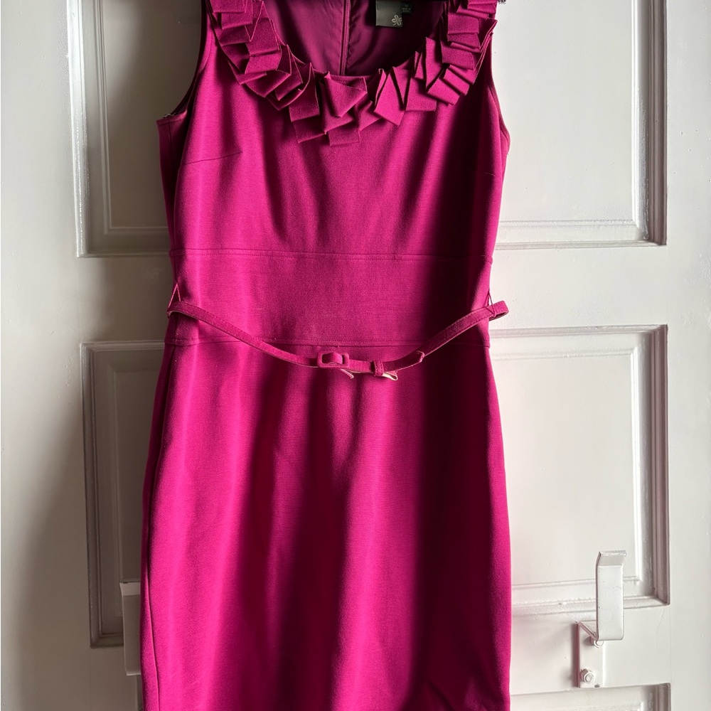 Taylor Fuchsia dress size 10